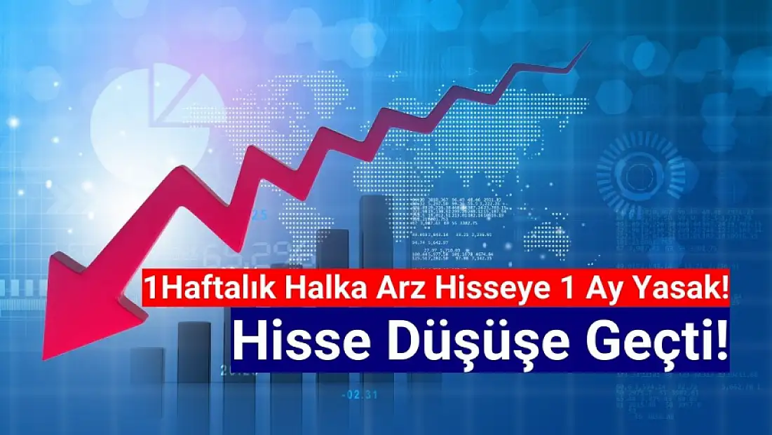 1 haftalık halka arz hisseye 1 ay yasak geldi! Hisse düşüşe geçti!