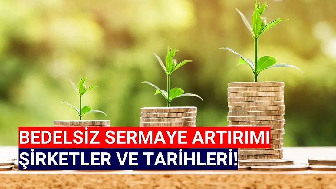 2024 bedelsiz verecek hisseler ve tarihleri