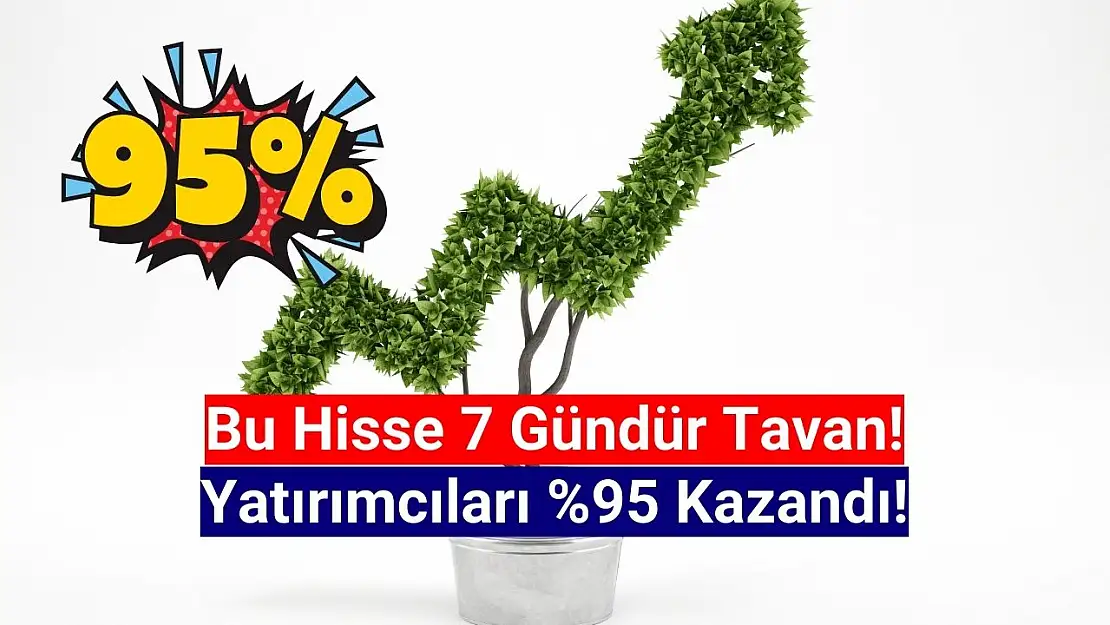 7 gün tavan olan hisse yüzde 95 kazandırdı!