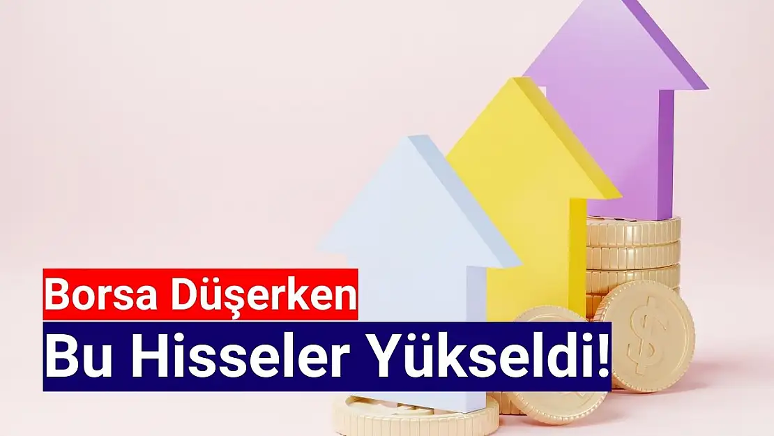 Ağustos ayının en çok kazandıran hisseleri!