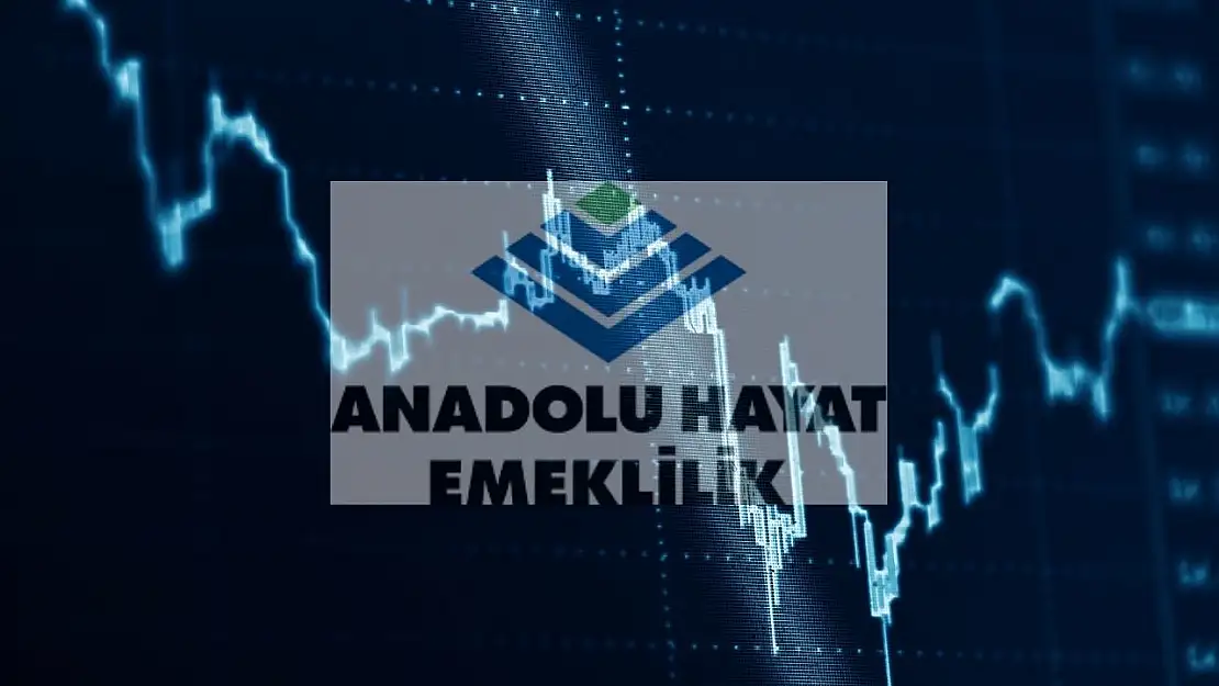 Anadolu Hayat (ANHYT) katılım endeksine uygun mu?