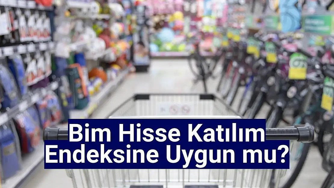 Bim (BIMAS) katılım endeksine uygun mu?