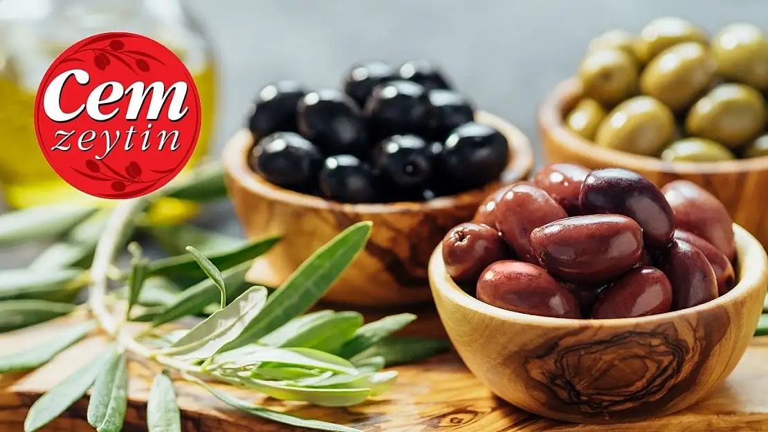 Cem Zeytin (CEMZY) neden katılım endeksine uygun değil?