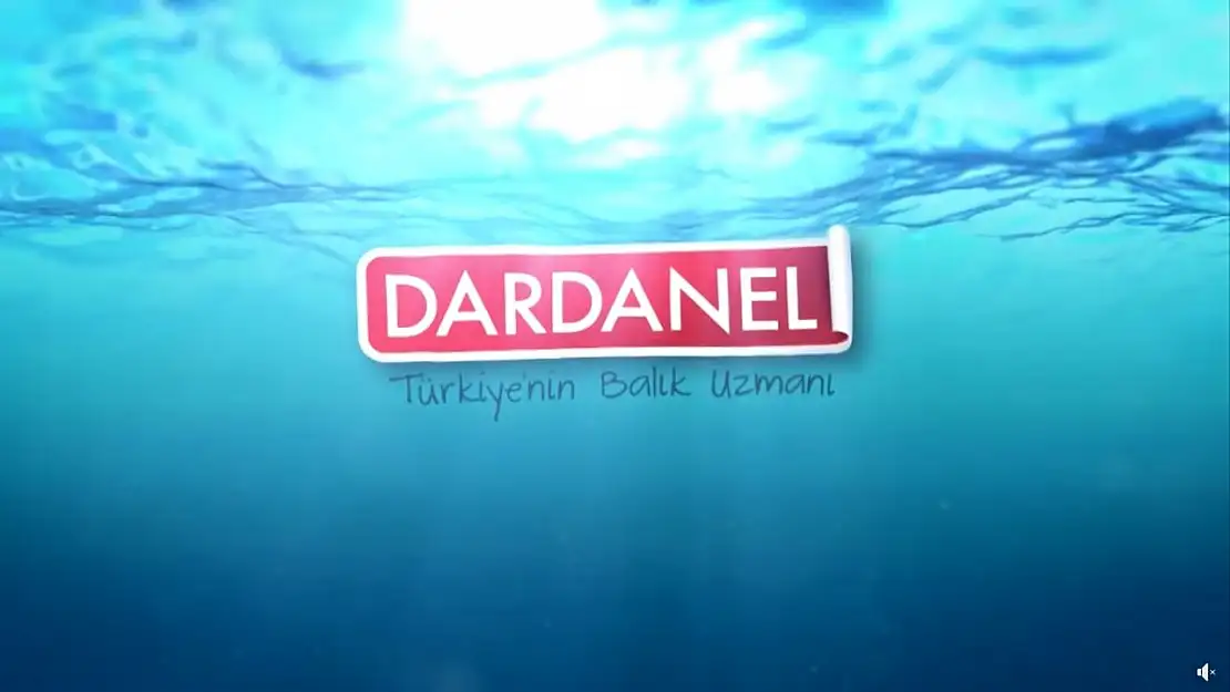 Dardanel (DARDL) katılım endeksine uygun mu?