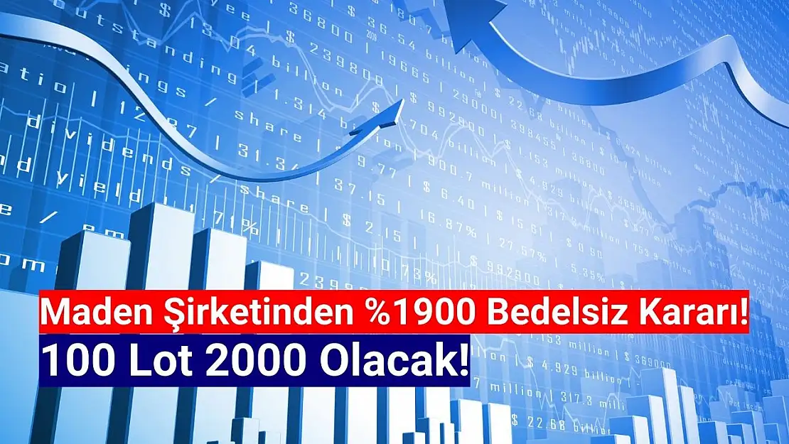 Dev şirketten yüzde 1900 rekor bedelsiz kararı!