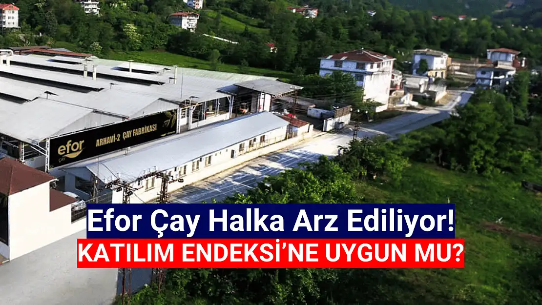 Efor Çay katılım endeksine uygun mu?