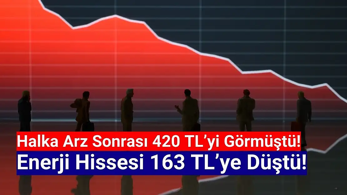 Halka arz sonrası 420 TL'yi gören hisse 163 TL'ye düştü!