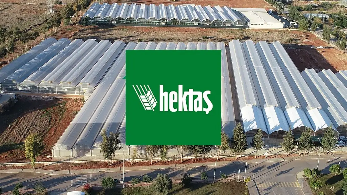 Hektaş (HEKTS) hisse katılım endeksine uygun mu?