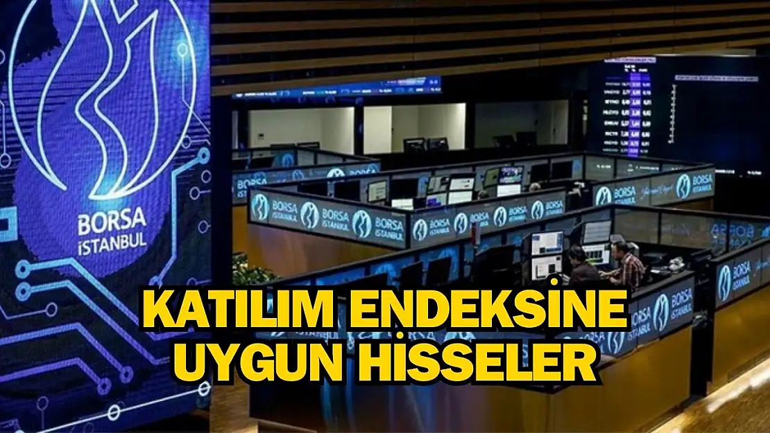 Katılım endeksine uygun hisseler 2024