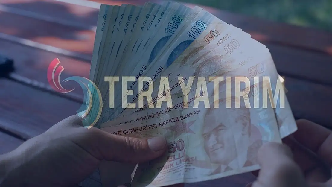 Tera Yatırım bedelsiz bölünme tarihi belli oldu!