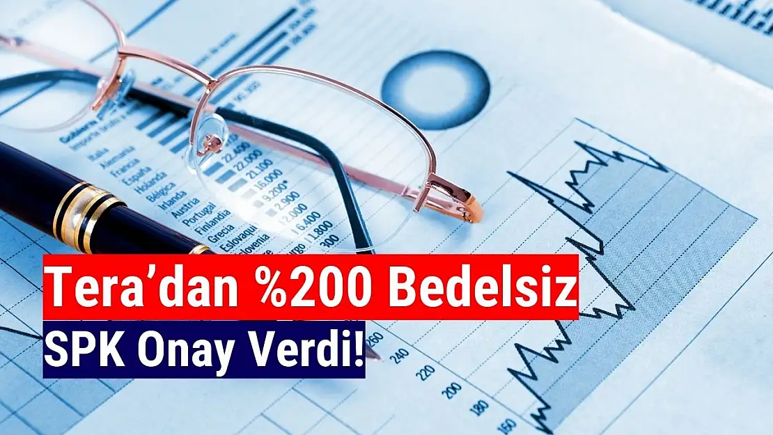 Tera Yatırım bedelsiz ne zaman bölünecek 2024?