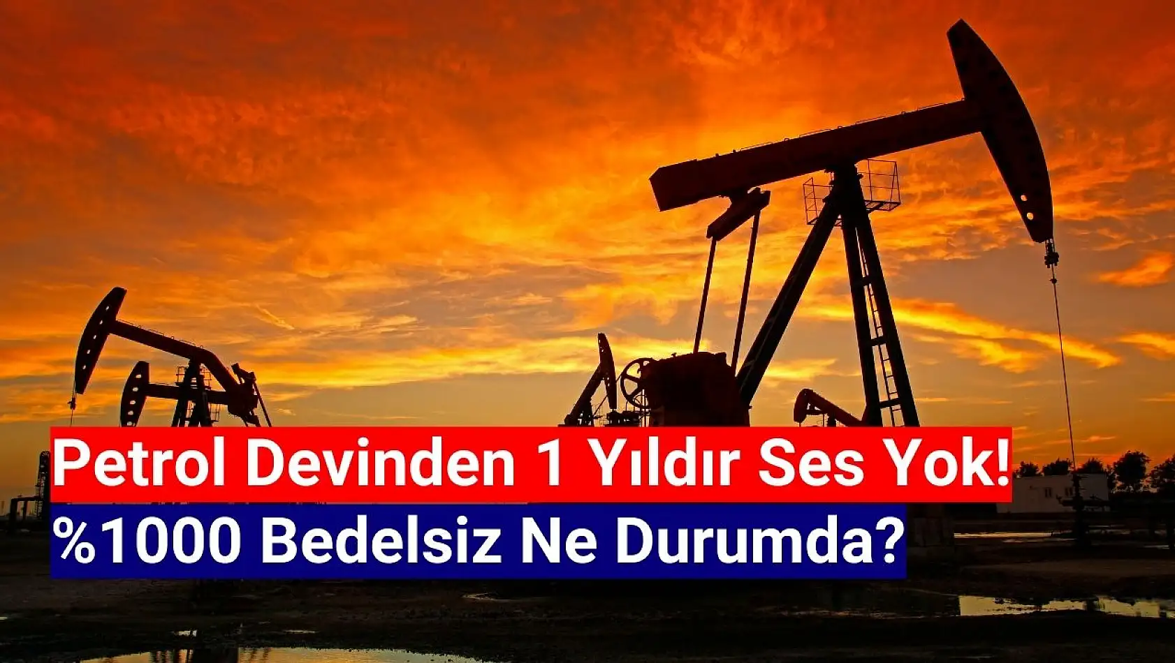 Dev petrol şirketinin yüzde 1000'lik bedelsizinden 1 yıldır haber yok!