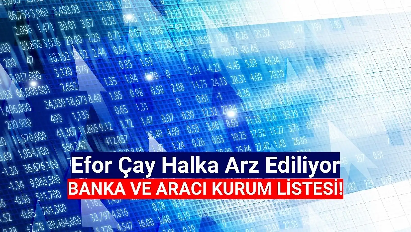 Efor Çay halka arz hangi bankalarda var?