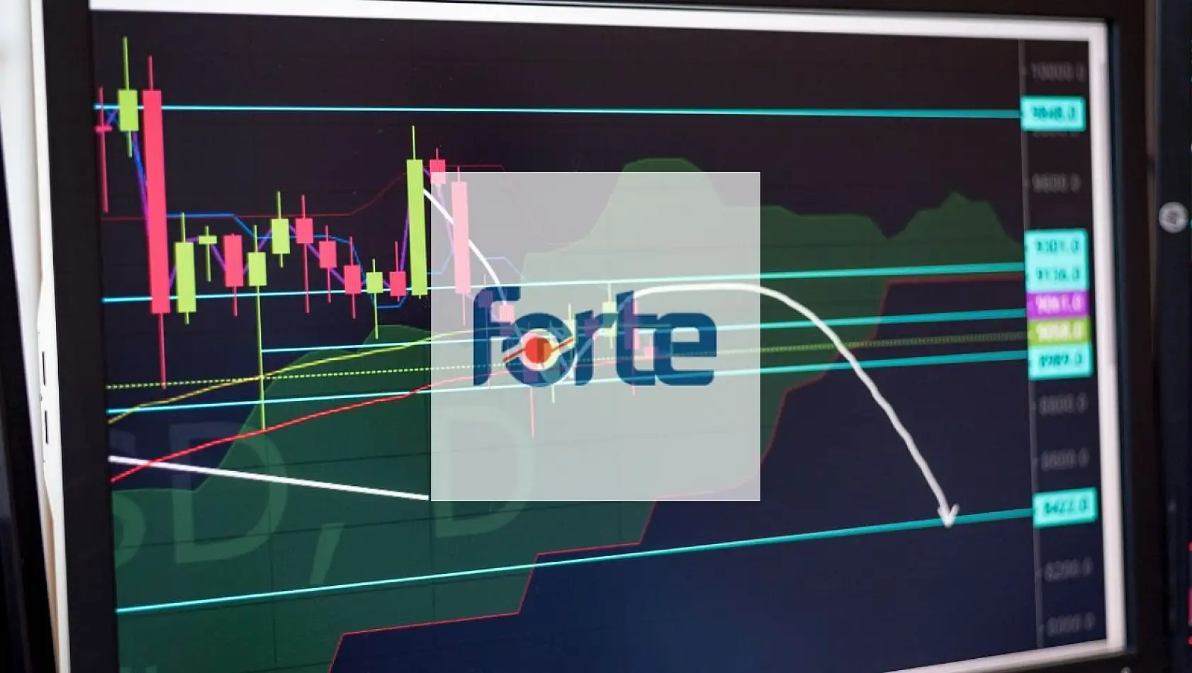 Forte katılım endeksine uygun mu 2024?