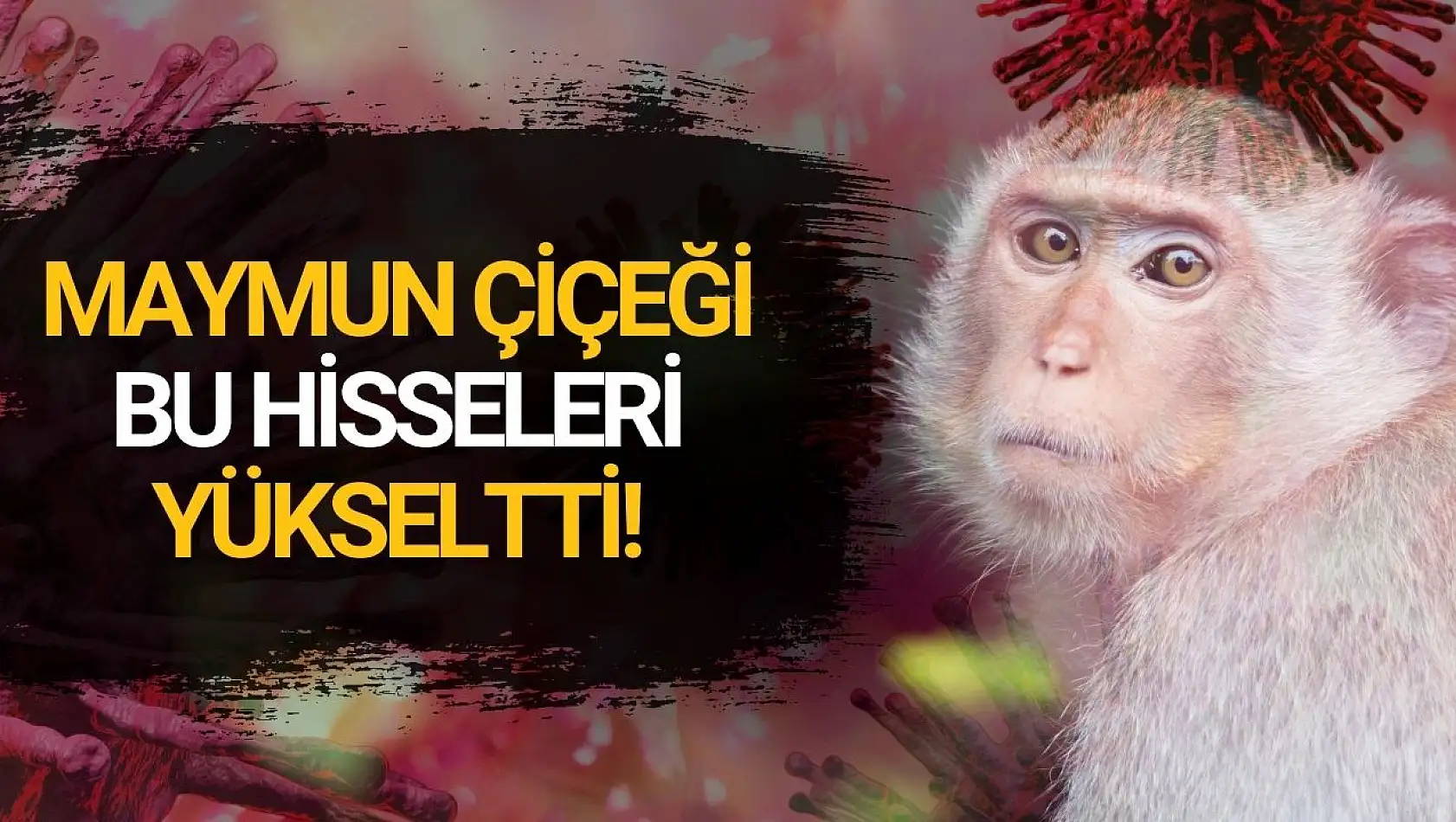 Maymun Çiçeği hastalığı bu hisseleri yükseltti!