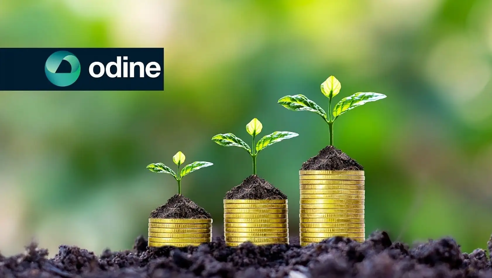 Odine Solutions Teknoloji (ODINE) 2024 yılı temettü kararını açıkladı!