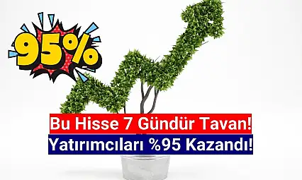 7 gün tavan olan hisse yüzde 95 kazandırdı!